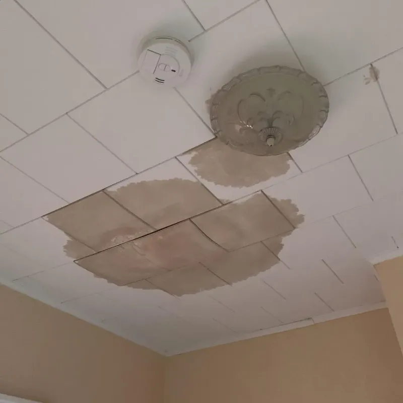 Ceiling Water Damage Repair in Rockville, CT