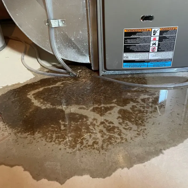 Pipe Burst and Leak Restoration in Rockville, CT