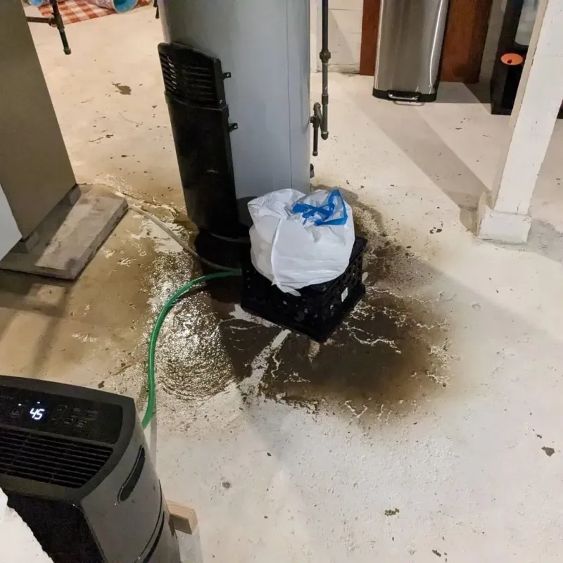 Sewage Backup Cleanup Service in Rockville, CT